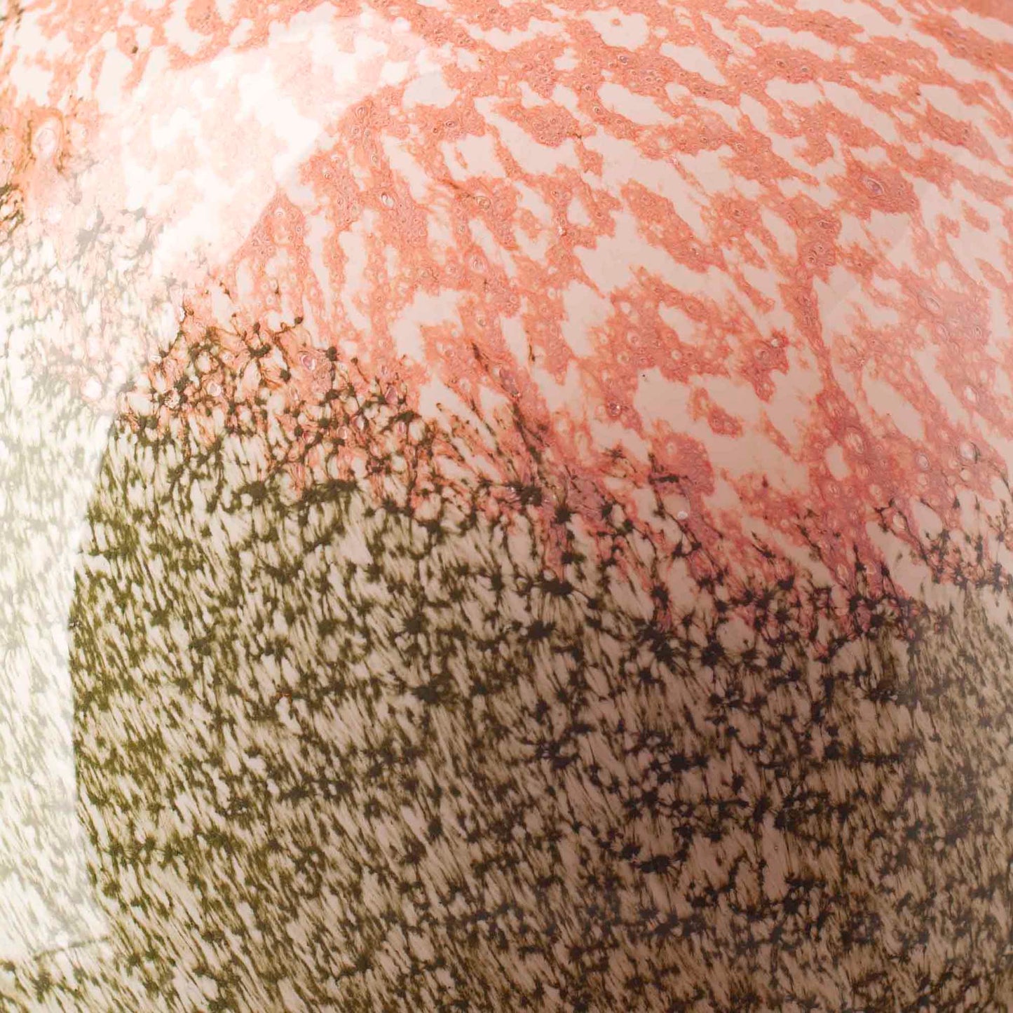 Large Vase 28cm - Evergreen Blush