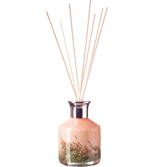 Small Cylinder Reed Diffuser - Evergreen Blush